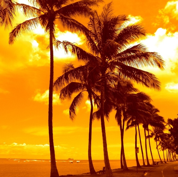 💄💕Meet your Poshers, Mei & Cassia💕👠🕶 - Picture 4 of 8